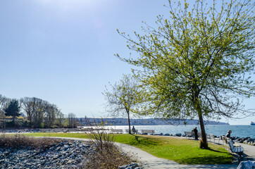 Obraz premium nice view in the park