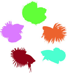 Collection of betta fish outline, various styles, multicolored, on a white background.