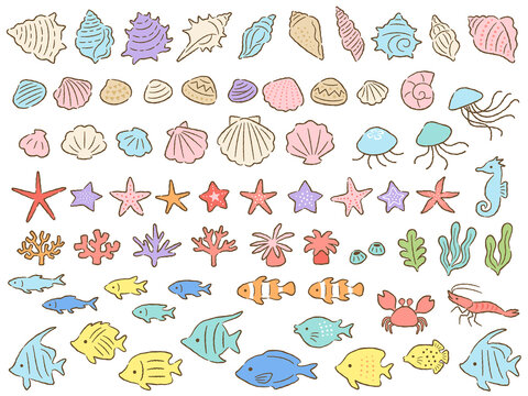 1 8 Best イソギンチャク Images Stock Photos Vectors Adobe Stock 1 8 Best イソギンチャク Images Stock Photos Vectors Adobe Stock