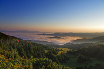 Fototapeta premium Mountain landscape with forest in the summer. Silhouettes of fir trees in the fog