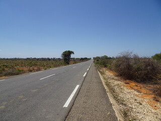 [Madagascar] A straight road in the suburbs