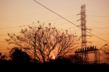 Sunset among trees, wires, antennas and cars in the city of São Paulo. Twilight concept. Evening...