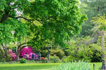 Foto op Plexiglas Mooie tuin met groene haag. Achtertuinlandschap of een park met schutting, bomen en bloeiende planten. © Renata
