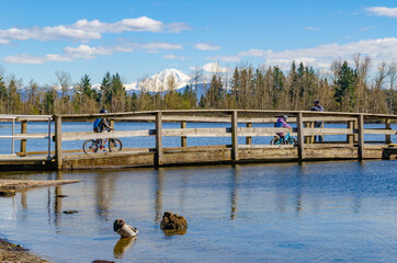 View of mt. Baker in the park