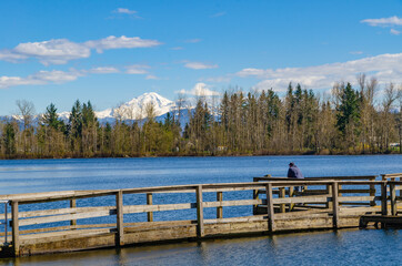 View of mt. Baker in the park