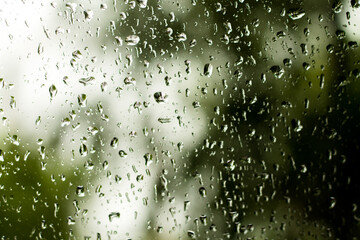 Raindrops on window with blurry tree as background