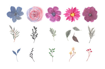 Set of gorgeous individual watercolor flowers and leaves collection