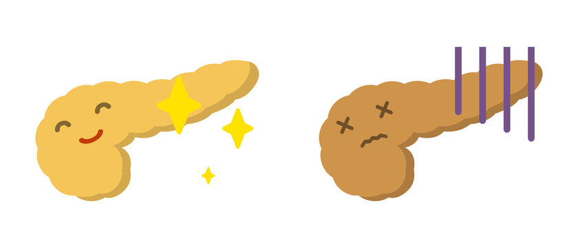 ヒトの膵臓と顔