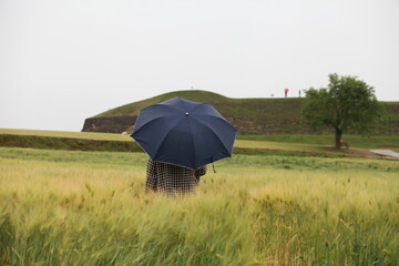 person with umbrella