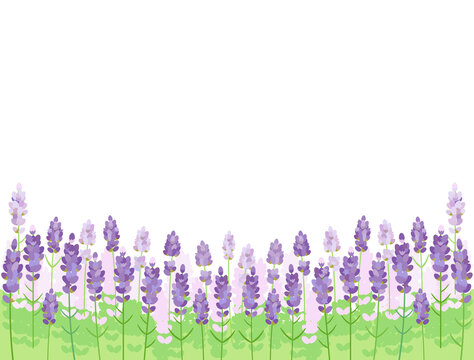 緑と紫のコントラストが美しいラベンダー畑をイメージしたイラスト