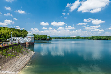 Fototapeta premium 初夏の村山貯水池（多摩湖）の風景 