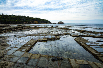 Tessellated Pavement rock formations Eaglehawk Neck Tasmania