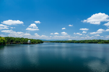 Obraz na płótnie Canvas 初夏の村山貯水池（多摩湖）の風景　