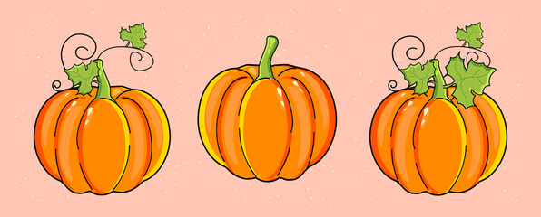 three pumpkins. Vector graphics. eps