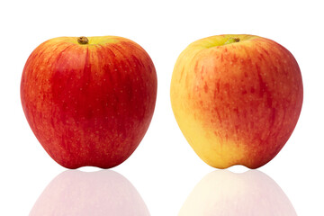 Two fresh red apple isolated on white background