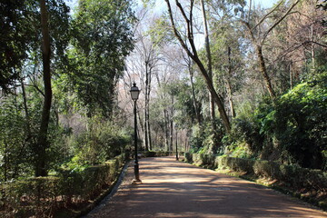 NARROW STREET WITH IRON RAILINGS
