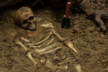 .Discovering human skeletons