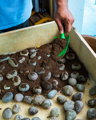 Soil covering stones in a wooden planter box.