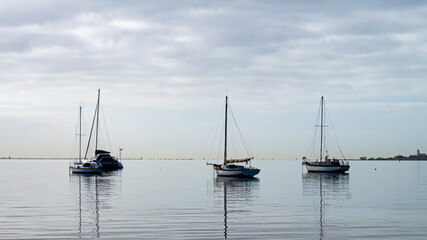 Fototapeta premium yachts on Corio Bay Geelong Australia