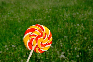 Colorful rainbow lollipop and nature background