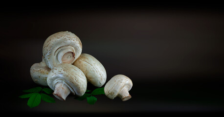 Mushrooms. A composition of mushrooms on a dark background. Vegetarianism, background.