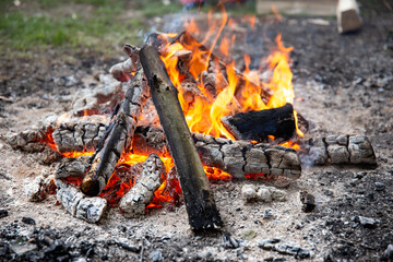 Close up of a burning bonfire in the forest.