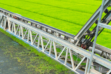 Watering rice seedling machine   using machinery spry growth rice evergreen field with pipe pump water for growth rice field and apply fertilizer at organic industry farm.