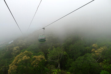 view of the skyrail rainforest cableway