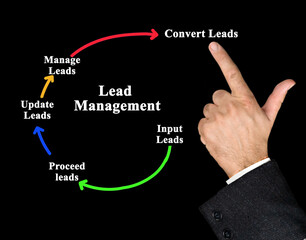 Components of lead management process