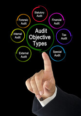 Seven Types of Audit Objective