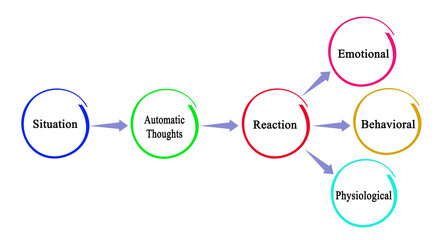 Human responces on external conditions