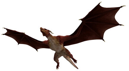 Flying Red Dragon Isolated on White Background 3d Rendering