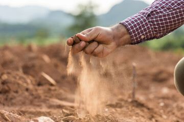 Expert hand of farmer checks quality of soil before sowing. The farmer tests soil the growth quality of seedling.Agriculture concept. - obrazy, fototapety, plakaty