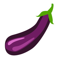 Eggplant Vegetables whole Food vector illustration