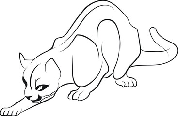 vector illustration of cat