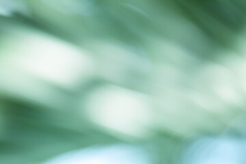 Fresh green natural abstract defocused image.