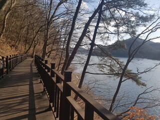 Plakat wooden bridge over the lake