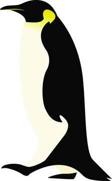 Penguin logo vector illustration. isolated on white background