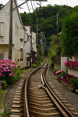 Obraz premium Enoden Railway along pink and purple Hydrangea flower - 紫陽花の花と江ノ電の線路