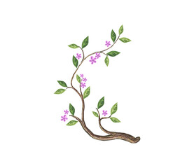 beautiful branch and flower isolated, design element vector