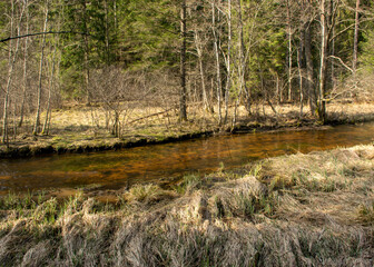 spring landscape with a small wild river, bare trees, reflections in the water, dry grass on the river banks, Stikupe, Vaidava, Latvia
