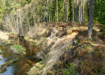 Naklejka na ściany i meble landscape with sandstone outcrops by a small wild river, sandstone texture, old grass, moss and other typical plants, Strikupe, Vaidava, Latvia