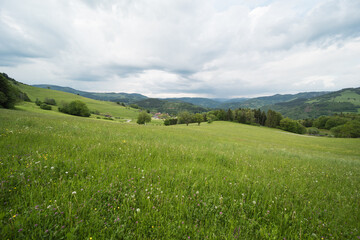 landscape in the southern black forest in germany