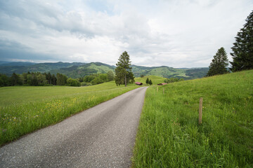 landscape in the southern black forest in germany