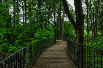 Holzsteg im Felsenmeer in Hemer im Sauerland