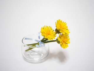 フェルト作品　タンポポブーケ