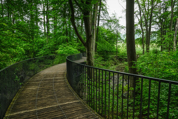 Obraz premium Brücke durch das Felsenmeer in Hemer im Sauerland