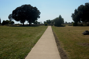 Italia : Veduta del parco Archeologico di Paestum,2 Giugno 2021.