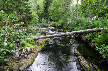 River Kulismayoki in Karelia