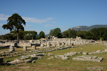 Fototapeta na wymiar Italia : Veduta del parco Archeologico di Paestum,2 Giugno 2021.